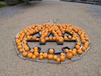 １０月はハロウィン！